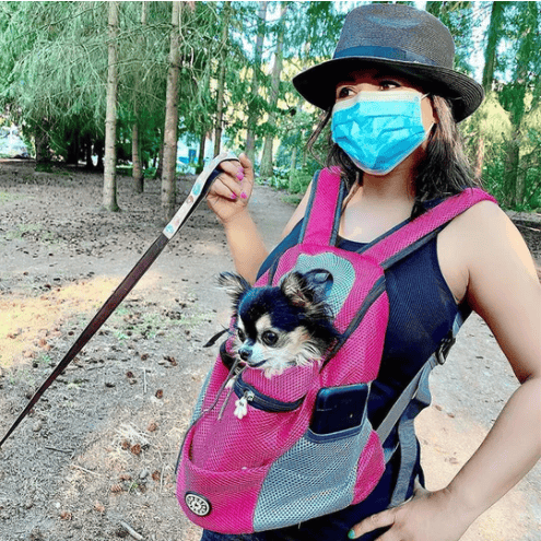 🔥Summer Hot Sale 🔥2026 Summer Dog Backpack