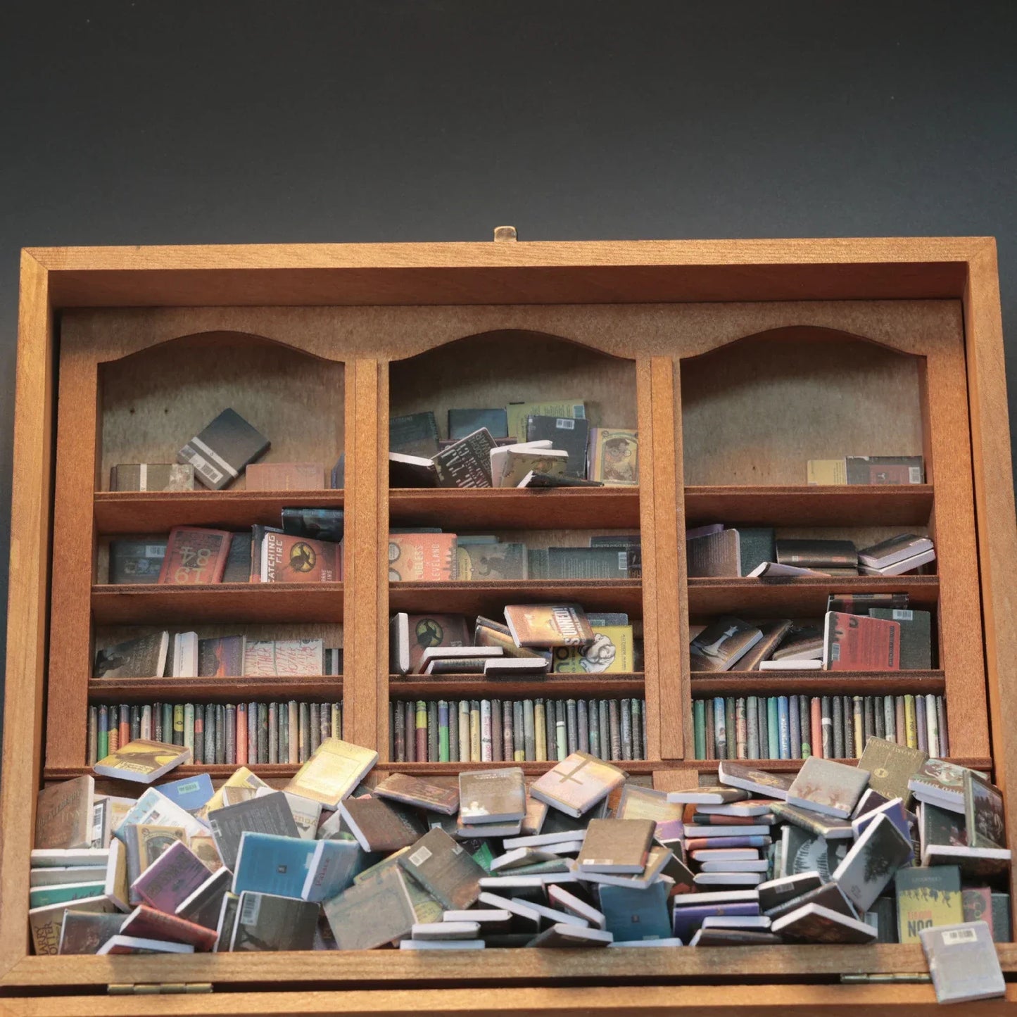 📕Anxiety Bookshelf | Shake Away Your Anxiety
